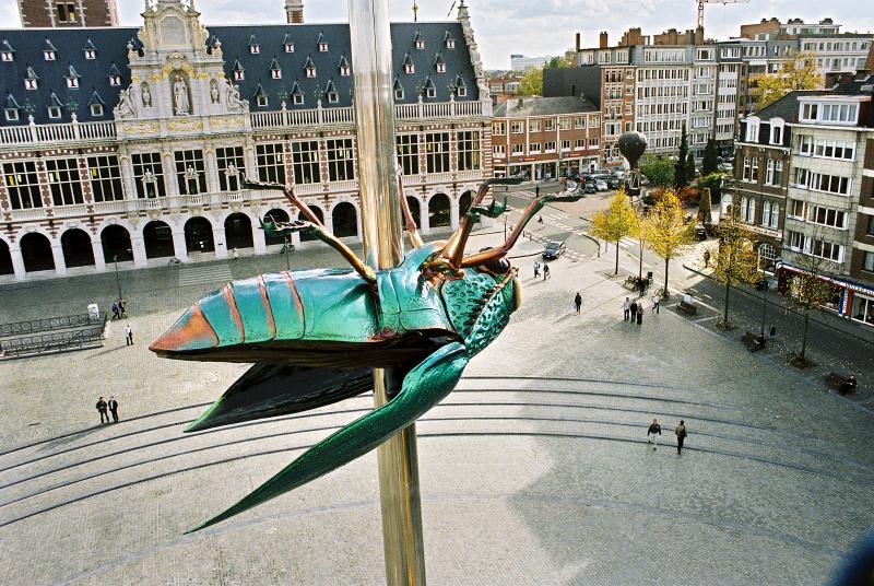 Fabre beetle Ladeuze square; © Rob Stevens, 
KU Leuven